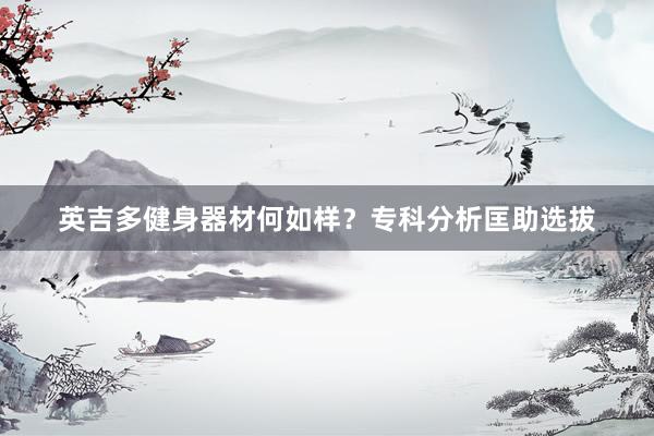 英吉多健身器材何如样？专科分析匡助选拔